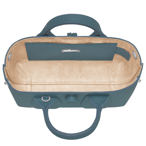 Roseau XS Top handle bag Thistle Leather Longchamp TH