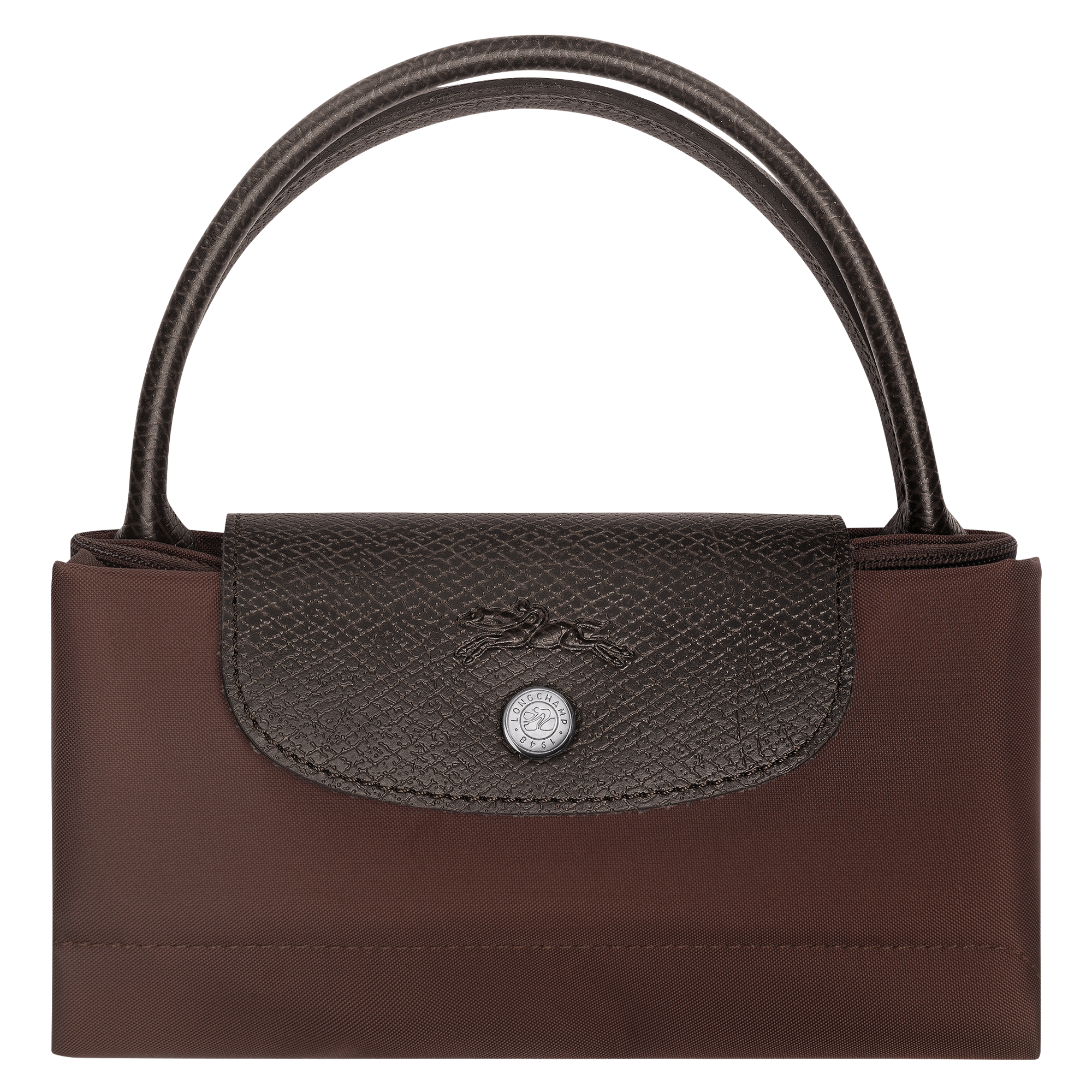 Le Pliage Green Handbag S, Mocha