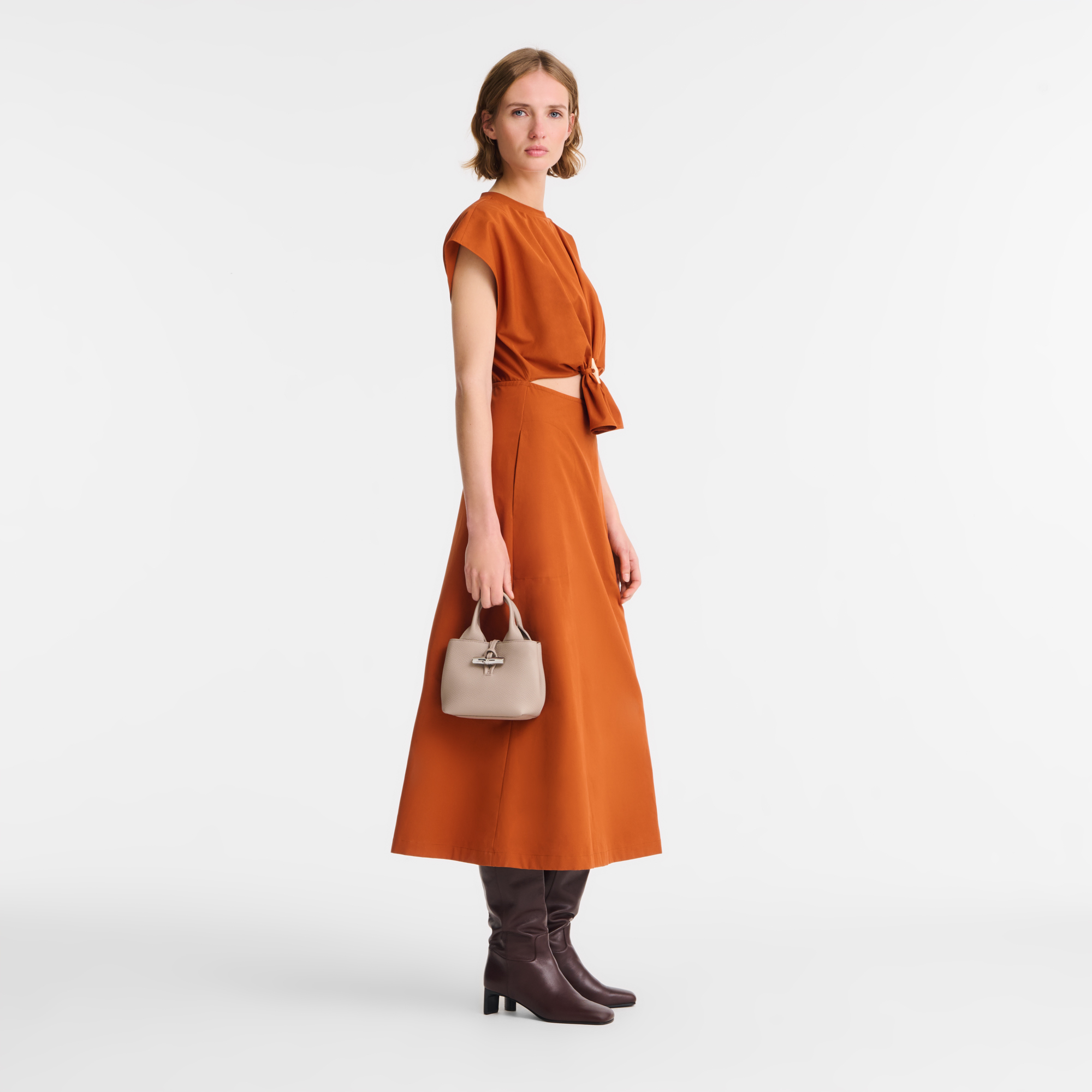Handbag XS, Clay - View 2 of 
        7 - zoom in Le Roseau Handbag XS, Clay