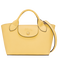 Yellow Chick