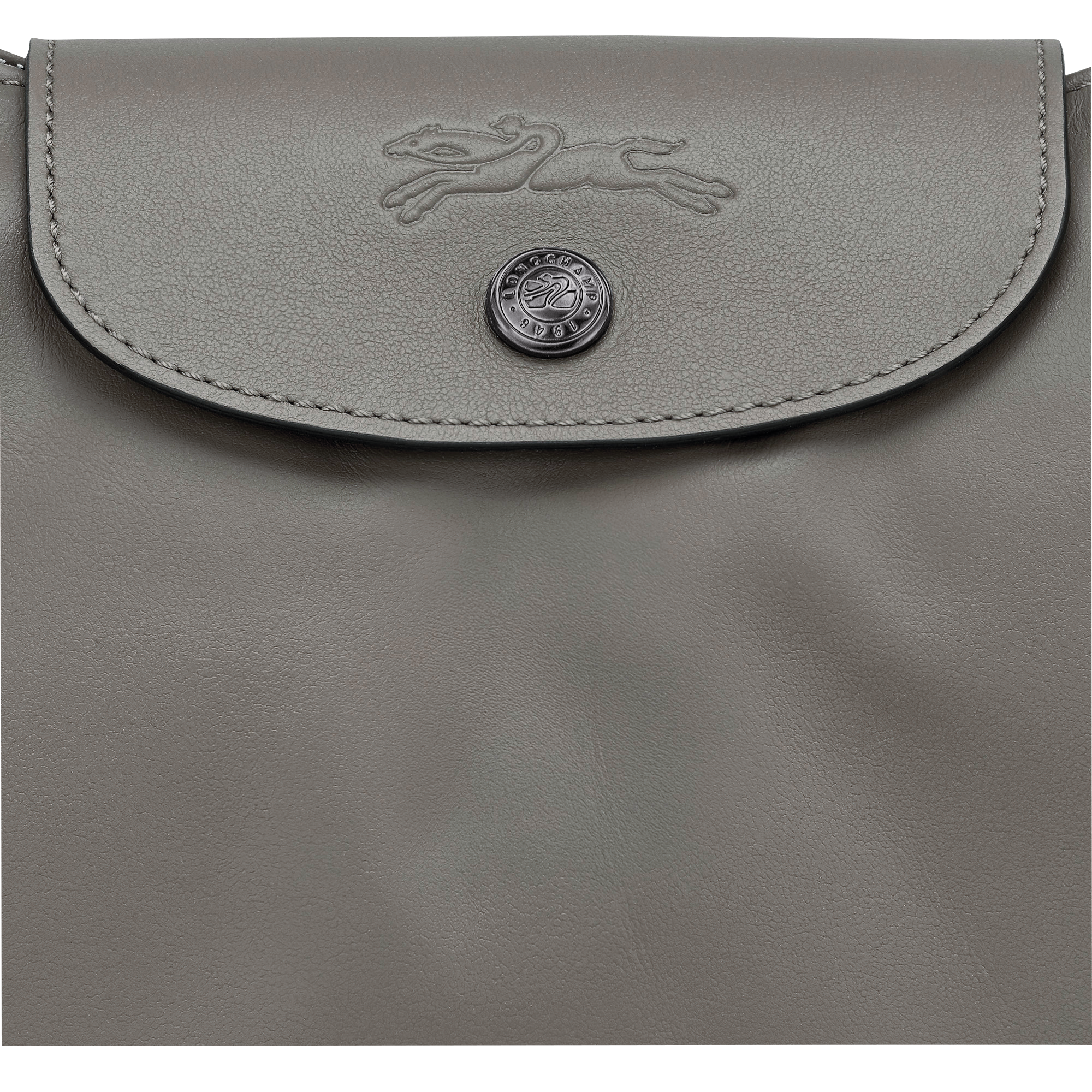 Le Pliage Xtra Shoulder bag L, Turtledove