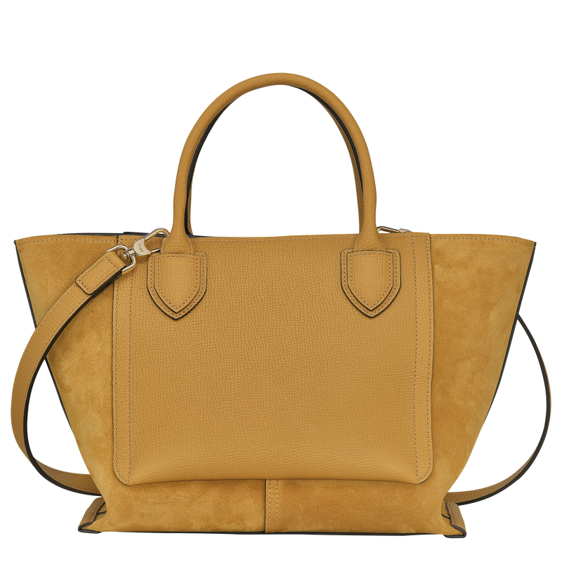 Longchamp mailbox hotsell m