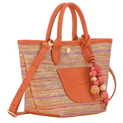 Le Pliage Collection Basket bag XS, Rainbow