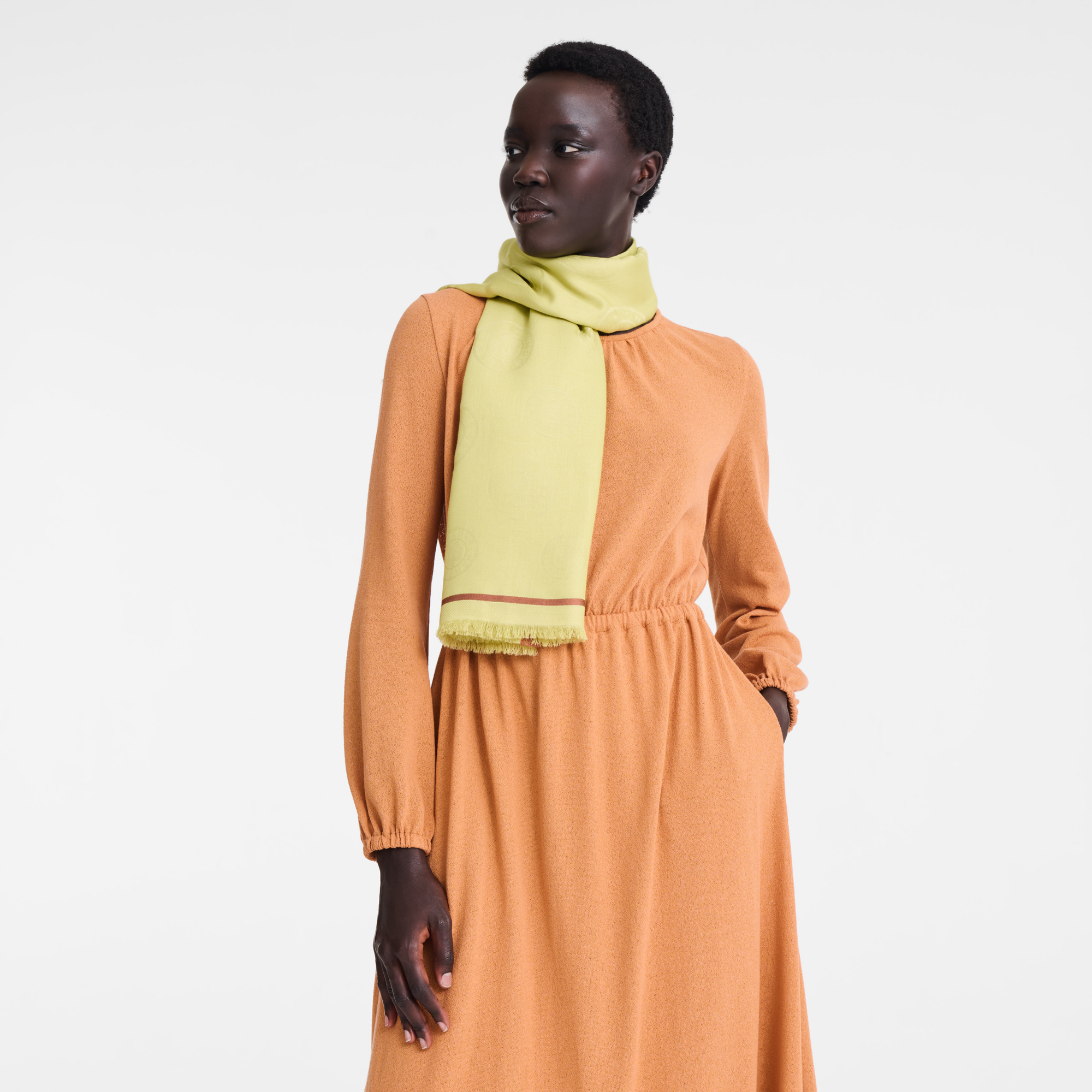 La M&eacute;daille Longchamp Stole, Pistachio