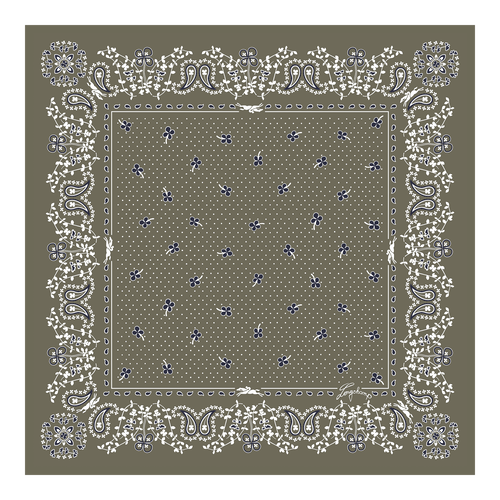 Silk scarf 50
