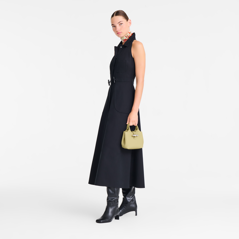 Le Roseau XS Handbag , Pistachio - Leather  - View 2 of  7