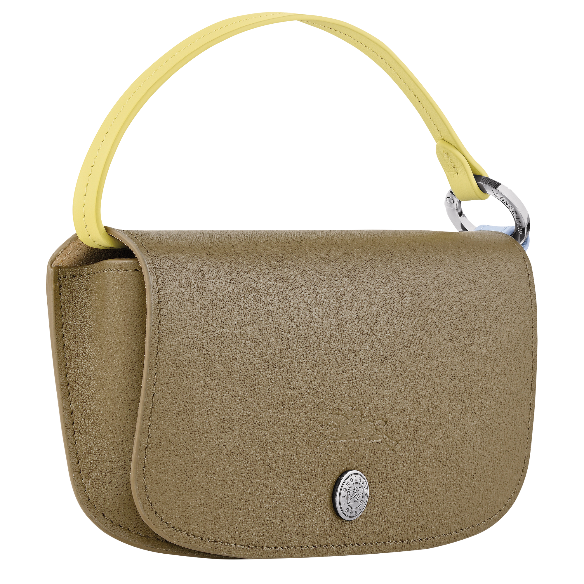 Le Pliage Collection Eyewear case, Lichen