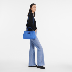Roseau M Handbag , Cobalt - Leather