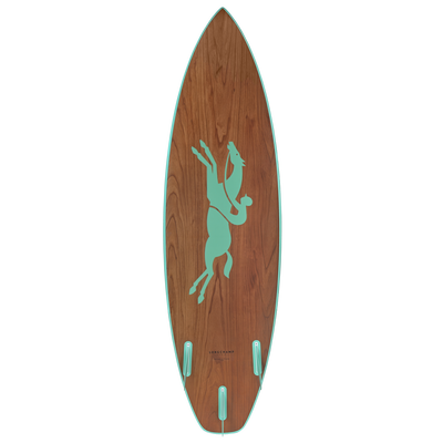 null Surfboard, Rainbow
