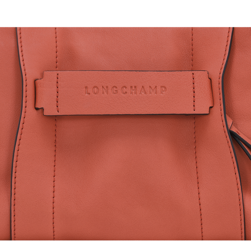 Longchamp 3d leather crossbody outlet