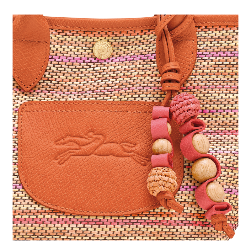 Le Pliage Collection Basket bag , Rainbow - Canvas  - View 5 of  5