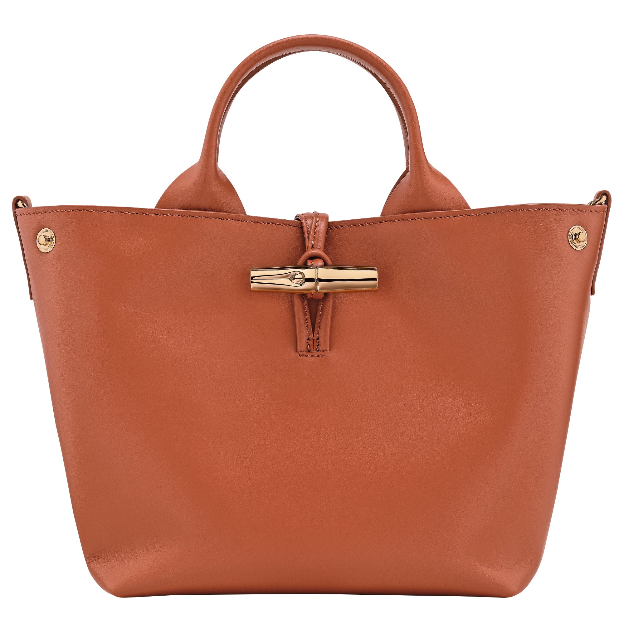 Handbag S, Bark - View 5 of
7 - zoom in Le Roseau Handbag S, Bark