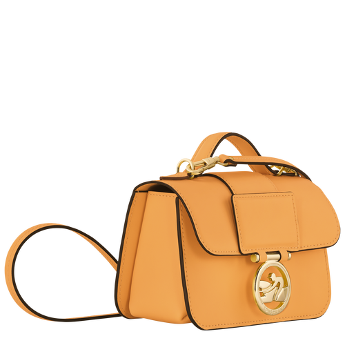 Box Trot XS Crossbody bag Apricot Leather Longchamp TH