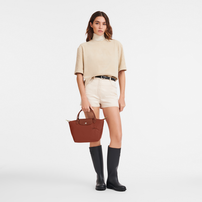 Le Pliage Green Handbag S, Chestnut