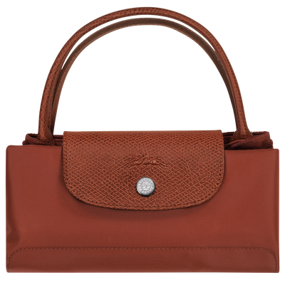 Le Pliage Green Handbag S, Chestnut