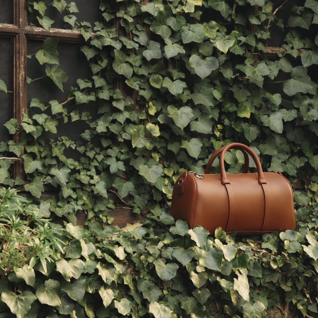 daylong-bag-leather-longchamp-brown