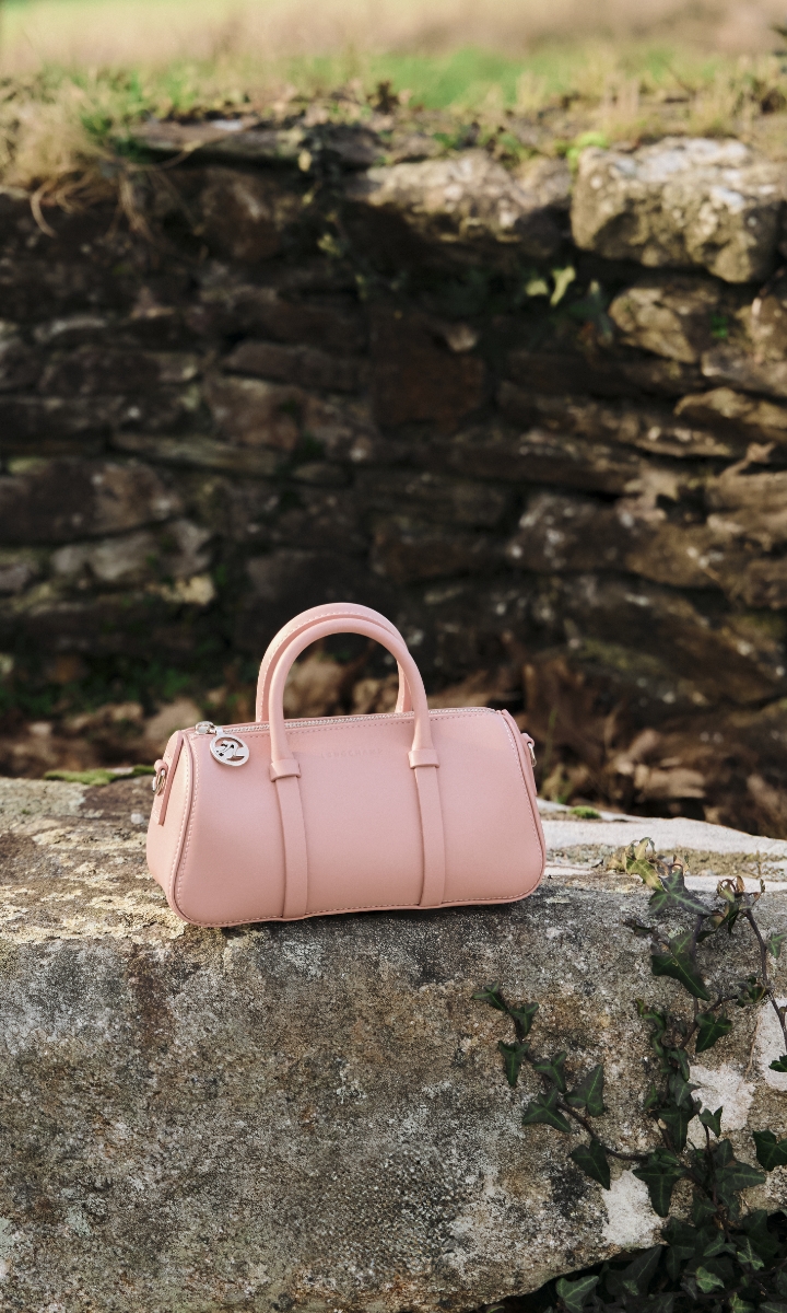daylong-bags-pink-leather-longchamp