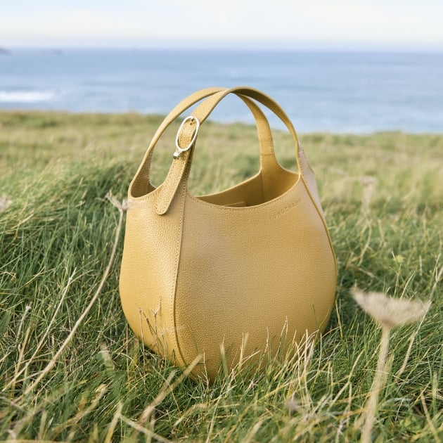 foulonne-longchamp-bags-field